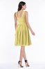 ColsBM Dayana Misted Yellow Classic A-line Thick Straps Sleeveless Chiffon Bridesmaid Dresses