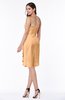 ColsBM Liberty Apricot Classic Column Strapless Half Backless Chiffon Knee Length Plus Size Bridesmaid Dresses