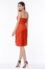 ColsBM Liberty Tangerine Tango Classic Column Strapless Half Backless Chiffon Knee Length Plus Size Bridesmaid Dresses