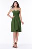 ColsBM Laila Garden Green Modern A-line Strapless Zip up Chiffon Pleated Plus Size Bridesmaid Dresses