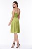 ColsBM Laila Linden Green Modern A-line Strapless Zip up Chiffon Pleated Plus Size Bridesmaid Dresses