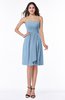 ColsBM Laila Sky Blue Modern A-line Strapless Zip up Chiffon Pleated Plus Size Bridesmaid Dresses
