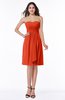 ColsBM Laila Tangerine Tango Modern A-line Strapless Zip up Chiffon Pleated Plus Size Bridesmaid Dresses