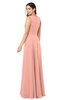 ColsBM Hazel Peach Modern A-line Sleeveless Zip up Floor Length Pleated Plus Size Bridesmaid Dresses