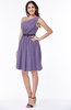 ColsBM Avalyn Chalk Violet Glamorous One Shoulder Sleeveless Half Backless Knee Length Sash Plus Size Bridesmaid Dresses