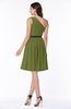 ColsBM Avalyn Olive Green Glamorous One Shoulder Sleeveless Half Backless Knee Length Sash Plus Size Bridesmaid Dresses