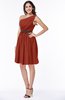 ColsBM Avalyn Rust Glamorous One Shoulder Sleeveless Half Backless Knee Length Sash Plus Size Bridesmaid Dresses