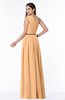 ColsBM Tiana Apricot Traditional A-line One Shoulder Chiffon Floor Length Plus Size Bridesmaid Dresses