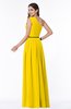 ColsBM Tiana Yellow Traditional A-line One Shoulder Chiffon Floor Length Plus Size Bridesmaid Dresses