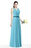 ColsBM Judith Light Blue Traditional V-neck Sleeveless Chiffon Floor Length Ruching Plus Size Bridesmaid Dresses