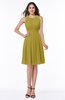 ColsBM Daphne Golden Olive Elegant A-line Jewel Half Backless Chiffon Knee Length Prom Dresses