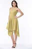 ColsBM Delaney Gold Cute A-line Sleeveless Zip up Chiffon Tea Length Plus Size Bridesmaid Dresses