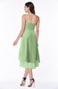 ColsBM Raina Sage Green Plain A-line Sweetheart Sleeveless Zip up Chiffon Plus Size Bridesmaid Dresses