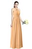 ColsBM Willa Apricot Simple Halter Criss-cross Straps Chiffon Floor Length Plus Size Bridesmaid Dresses