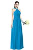 ColsBM Willa Cornflower Blue Simple Halter Criss-cross Straps Chiffon Floor Length Plus Size Bridesmaid Dresses