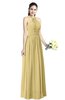 ColsBM Willa Gold Simple Halter Criss-cross Straps Chiffon Floor Length Plus Size Bridesmaid Dresses