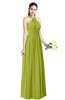ColsBM Willa Green Oasis Simple Halter Criss-cross Straps Chiffon Floor Length Plus Size Bridesmaid Dresses