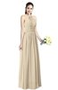 ColsBM Willa Novelle Peach Simple Halter Criss-cross Straps Chiffon Floor Length Plus Size Bridesmaid Dresses