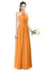 ColsBM Willa Orange Simple Halter Criss-cross Straps Chiffon Floor Length Plus Size Bridesmaid Dresses