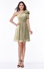 ColsBM Journee Candied Ginger Plain A-line One Shoulder Sleeveless Chiffon Pleated Bridesmaid Dresses