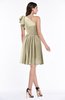 ColsBM Journee Candied Ginger Plain A-line One Shoulder Sleeveless Chiffon Pleated Bridesmaid Dresses