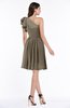ColsBM Journee Carafe Brown Plain A-line One Shoulder Sleeveless Chiffon Pleated Bridesmaid Dresses