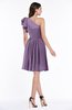 ColsBM Journee Chinese Violet Plain A-line One Shoulder Sleeveless Chiffon Pleated Bridesmaid Dresses