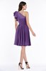 ColsBM Journee Dark Purple Plain A-line One Shoulder Sleeveless Chiffon Pleated Bridesmaid Dresses