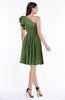 ColsBM Journee Garden Green Plain A-line One Shoulder Sleeveless Chiffon Pleated Bridesmaid Dresses