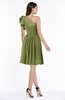 ColsBM Journee Olive Green Plain A-line One Shoulder Sleeveless Chiffon Pleated Bridesmaid Dresses