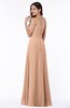 ColsBM Rebecca Burnt Orange Simple A-line Sleeveless Zip up Floor Length Plus Size Bridesmaid Dresses
