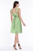 ColsBM Haley Sage Green Modern Fit-n-Flare Sleeveless Zip up Chiffon Knee Length Prom Dresses