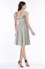 ColsBM Hadassah Platinum Traditional Scoop Short Sleeve Chiffon Mini Ruching Plus Size Bridesmaid Dresses