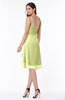 ColsBM Elliana Lime Green Classic A-line Spaghetti Sleeveless Chiffon Ruching Plus Size Bridesmaid Dresses