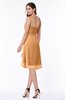 ColsBM Elliana Pheasant Classic A-line Spaghetti Sleeveless Chiffon Ruching Plus Size Bridesmaid Dresses