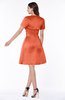 ColsBM Paloma Persimmon Modest Short Sleeve Zip up Satin Knee Length Pleated Mother of the Bride Dresses