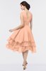 ColsBM Grace Peach Nectar Elegant V-neck Sleeveless Zip up Ruching Bridesmaid Dresses