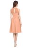 ColsBM Ivory Salmon Elegant A-line Jewel Zip up Knee Length Bridesmaid Dresses