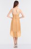 ColsBM Zuri Apricot Glamorous A-line Halter Sleeveless Zip up Appliques Bridesmaid Dresses
