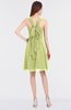 ColsBM Jessica Lime Green Modern Spaghetti Sleeveless Zip up Knee Length Ruching Bridesmaid Dresses