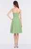 ColsBM Heavenly Sage Green Glamorous A-line Bateau Sleeveless Zip up Appliques Bridesmaid Dresses