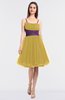 ColsBM Aryana Misted Yellow Elegant Ball Gown Sleeveless Zip up Knee Length Ruching Bridesmaid Dresses