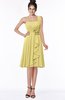 ColsBM Phoebe Misted Yellow Glamorous Bateau Sleeveless Zip up Chiffon Knee Length Bridesmaid Dresses