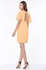 ColsBM Talia Apricot Luxury A-line Short Sleeve Zip up Chiffon Pleated Bridesmaid Dresses