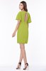 ColsBM Talia Green Oasis Luxury A-line Short Sleeve Zip up Chiffon Pleated Bridesmaid Dresses