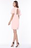 ColsBM Talia Pastel Pink Luxury A-line Short Sleeve Zip up Chiffon Pleated Bridesmaid Dresses