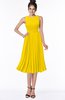 ColsBM Aileen Yellow Gorgeous A-line Sleeveless Chiffon Pick up Bridesmaid Dresses