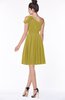 ColsBM Aiyana Golden Olive Elegant One Shoulder Sleeveless Zip up Chiffon Ruching Bridesmaid Dresses