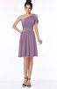 ColsBM Aiyana Mauve Elegant One Shoulder Sleeveless Zip up Chiffon Ruching Bridesmaid Dresses