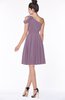 ColsBM Aiyana Mauve Elegant One Shoulder Sleeveless Zip up Chiffon Ruching Bridesmaid Dresses